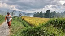 Banjar Munduk Private Bali Tour