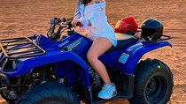 Doha :ATV Quad Bike, Dune Bashing, Camel Ride and Inland Sea Tour