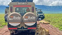 3 Days Serengeti and Ngorongoro Crater Safari