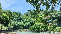 Beitou Hot Springs & Yangmingshan with Yehliu Geopark Day Tour