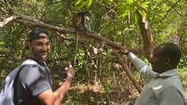 Jozani Forest and Stone Town Tour 
