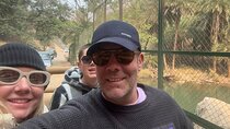 Ranthambore Tiger Safari 2 days trip from Jaipur - All Inclusive