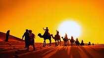 Sunset Safari tour with Dune Bashing and Camel Rides ATV optional
