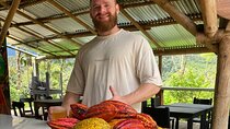 Private Chocolate Immersion Experience from Medellin