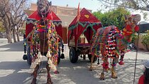 5-Day Private Golden Triangle Tour with Udaipur & Pushkar by Car