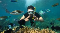 Combo All-inclusive Bali Blue Lagoon Snorkeling - ATV Quad Bike