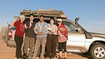 3days 2night cairo bahariya oasis white desert
