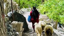 Atlas Mountains Day Tour with Hiking and Local Culture