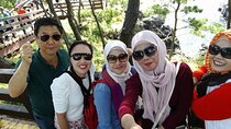 Private Tour for Cruise Customers From Gangjeong or Jeju Port 