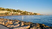 Tour at Malaga Fishing Scene with Cooking Workshop