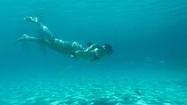 Split: Blue Lagoon & 3 Island Cruise with Wine & Snorkeling