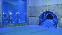 Hurghada Grand Aquarium Entrance Tour