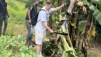 3 Days Chaga Culture: Cooking, NGO Projects, Banana Beer, Hiking