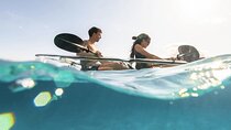 Guided Kayak Tour Transparent