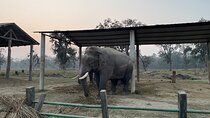 Chitwna Jungle Safari 2N3Days Full Package 