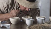  INTIMATE PREMIUM COFFEE TASTING and WORSHOP