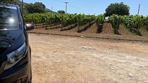 Kefalonia Private Gastronomy and Agrotourism Tour