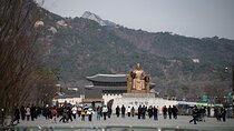 Gwanghwamun Tour about Korean Society and Local Mindset