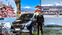 Mt Fuji Carpool Day Tour for 5 to 9 Tourists