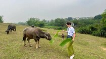 From Hanoi: Explore Hidden Gems of Duong Lam with Small Group