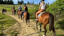 Horse Riding Activity Side