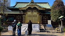 Ueno Park Ameyoko Market Walking Tour with Japanese Tokyo Local