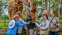 Giraffe Center Half Day Trip from Nairobi