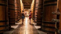 Wine Experience Tour in Maipo Valley 