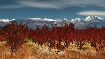 Cordon del Plata from Mendoza