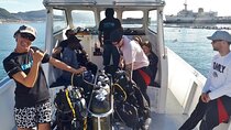 Shark Cage Diving Thrill Seekers Paradise