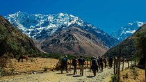 Salkantay 5 Days || Return by bus