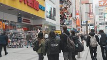 Private Otaku Tour for Anime and Manga Lovers 