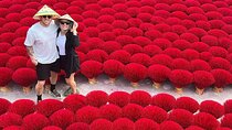 From Hanoi: Private Day Trip to Incense Village, Hoa Lu & Tam Coc