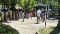 Dunn River Falls from Montego Bay Private Tour