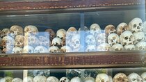 Half Day Tour and Explore Genocide History 