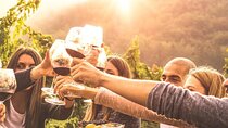 Geneva Countryside, Wine Tasting, Aperitif and Castle By E-bike