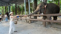 Full Day Adventure in Ao Nang Krabi