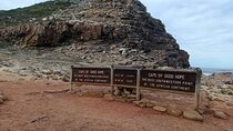 Cape Of Good Hope and Boulders Beach Penguins Full day Tour