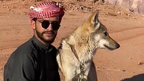 Discover Wadi Rum by 4x4 with a Bedouin guide