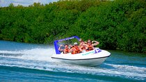 Speed of the Mayan Jungle