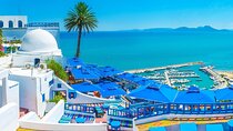 Sidi Bou Said Blue White Paradise Private Day Trip