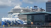 IJmuiden to Amsterdam: 4.5-Hour Hop-On Hop-Off Shore Excursion