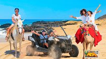 Beach UTV Adventure with Free Camel & Horseback Ride