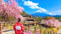 Mount Fuji Day Tour:Lake Kawaguchi, HealingVillage,Oshino Hakkai 