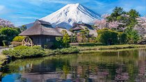 Mt Fuji Private Day Trip from Tokyo with English speaking driver