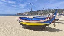 Tour / Transfer Lisbon Porto or Porto Lisbon