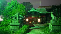 Tokyo Deep Night Tour with Sento Bath and Locul Food
