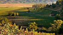 Full day Private Tour in Casablanca Valley