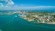Vitamin Sea Dolphin Safari: Private Key West Charter