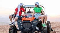 3 Hours Buggy Safari & Camel Ride with Transfers - Marsa Alam